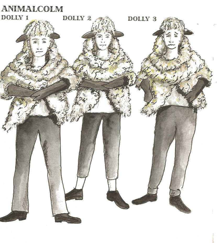 Dolly Sheep