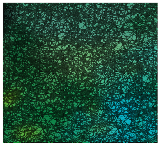 Texture for the floor and the trees
